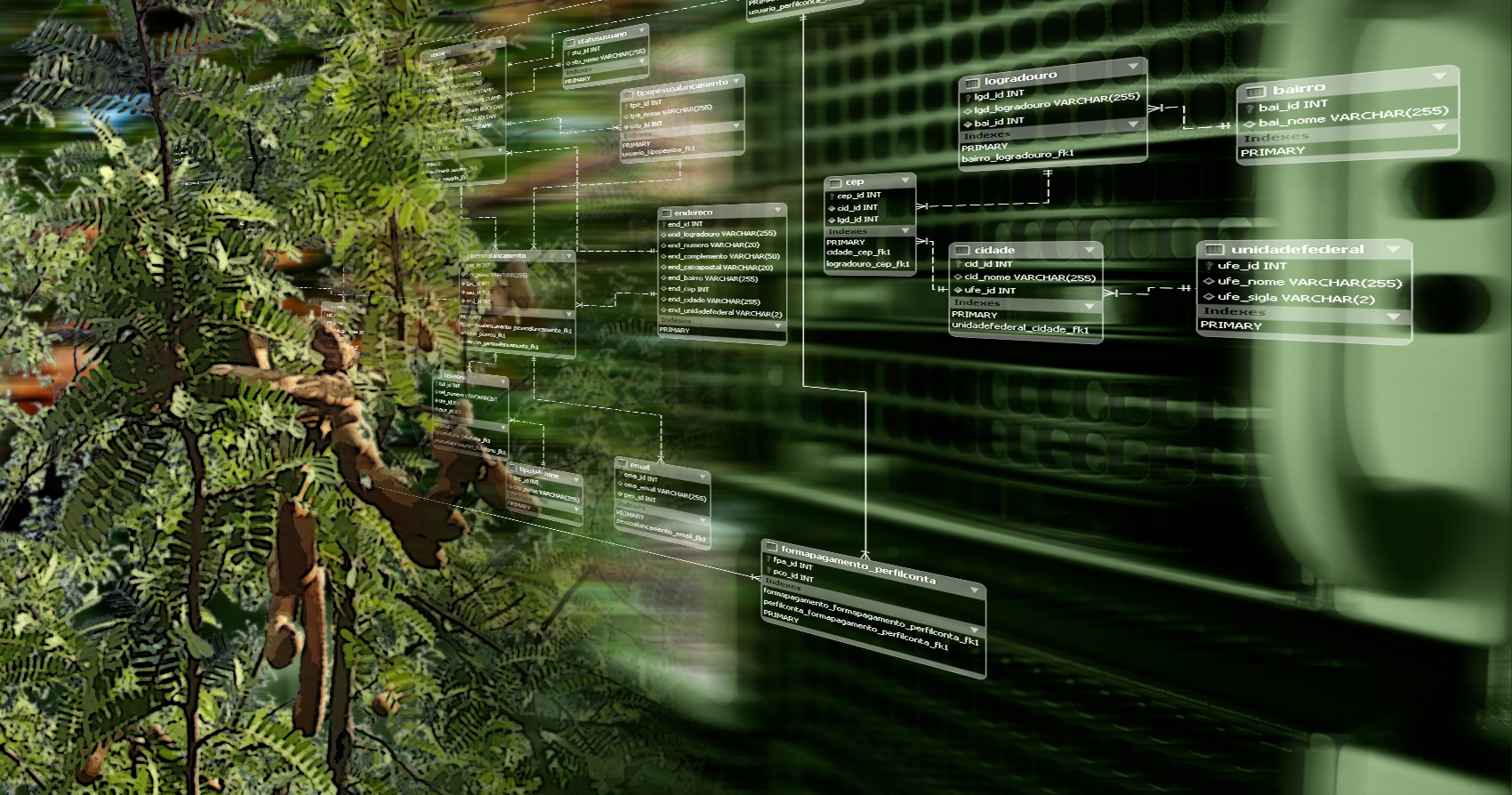 Tamarindos Workspace